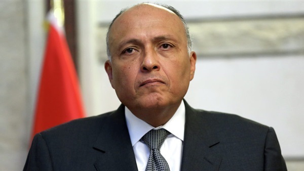 شكري في اجتماع وزراء