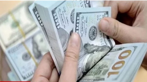 سعر الدولار اليوم