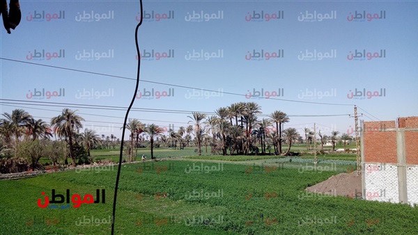 الطقس الآن بالفيوم