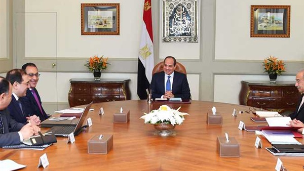 السيسي يلتقي وزير
