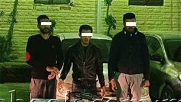 عصابة السيارات