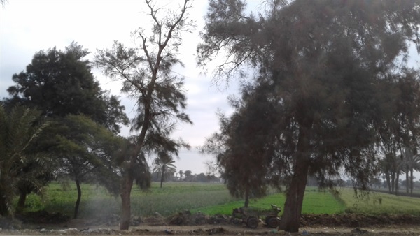 حالة الطقس ببني سويف