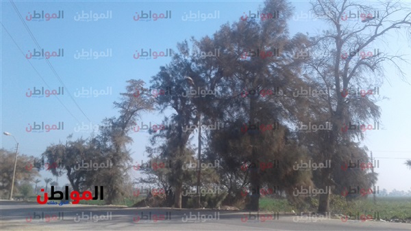 حالة الطقس اليوم