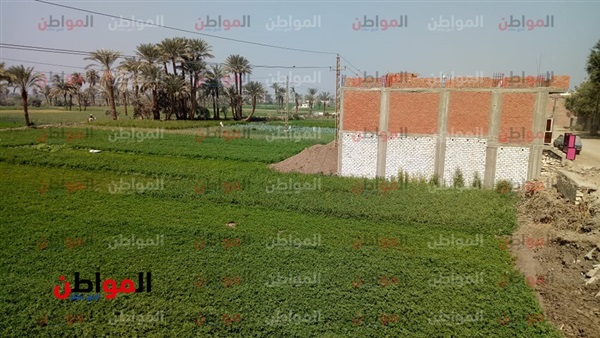 حالة الطقس اليوم