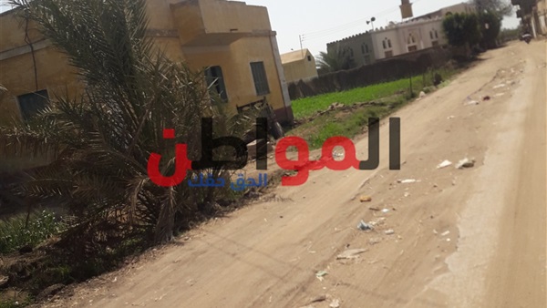 حالة الطقس بالمنوفية