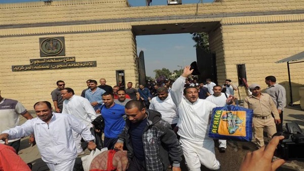 لجان قطاع مصلحة