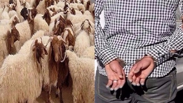 ضبط تشكيل عصابي