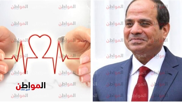 مصر والصحة في أفريقيا