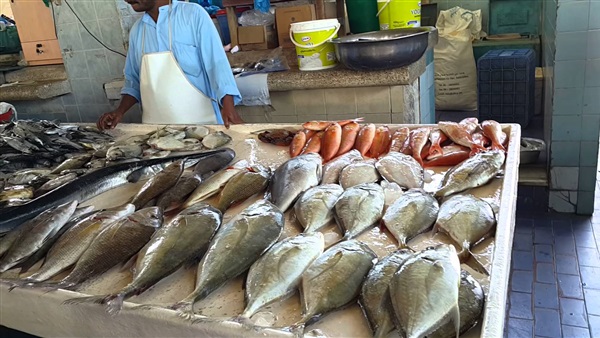 أسعار السمك اليوم