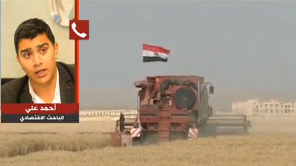 أحمد على الباحث الاقتصادي
