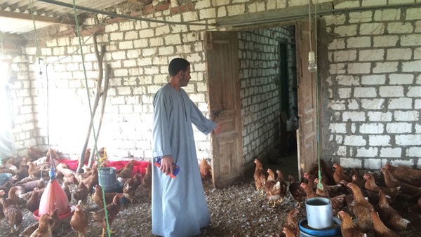 مزارع قرية حسبة برما