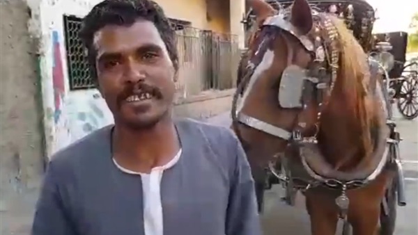 سائق حنطور في أسوان