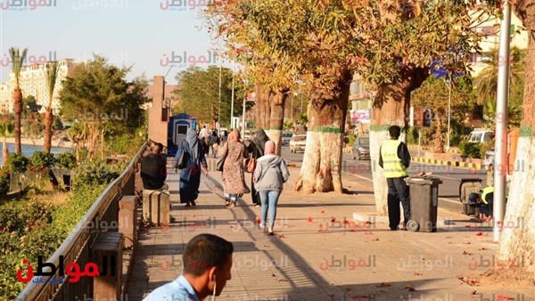 ملتقى الشباب العربي