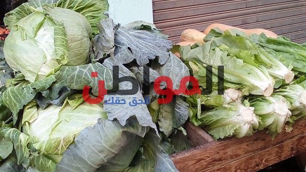 أسعار الخضراوات والفاكهة