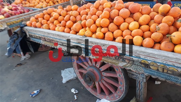 أسعار الخضراوات والفاكهة
