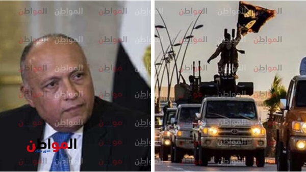 الباغوز وسامح شكري