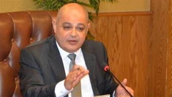 هشام السعيد محافظ