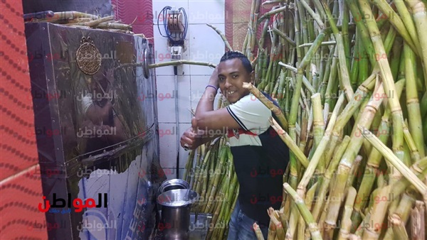 شاب عصارة سلسبيل