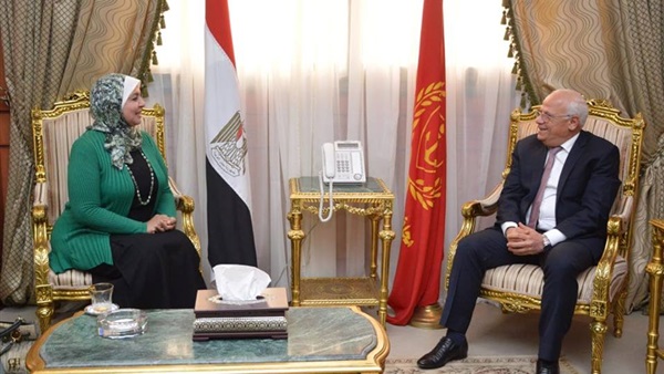 الام المثالية 2019
