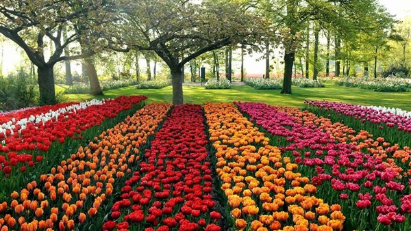 معرض زهور الربيع