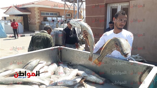 مشروع الاسستزراع