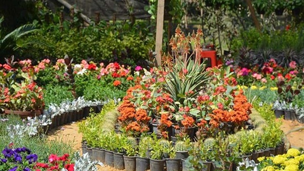 معرض زهور الربيع