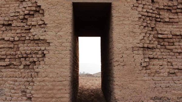 «شونة الزبيب»
