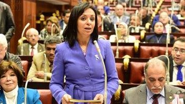 مايا مرسي والتعديلات