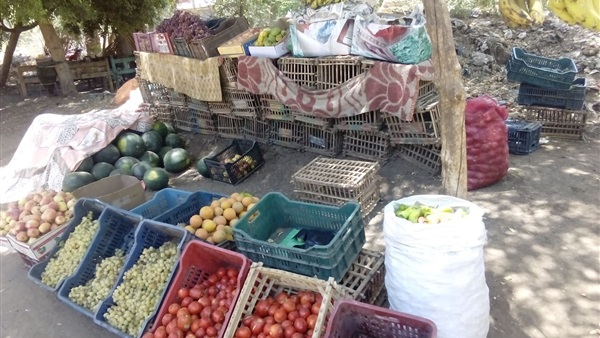 أسعار الخضراوات والفاكهة
