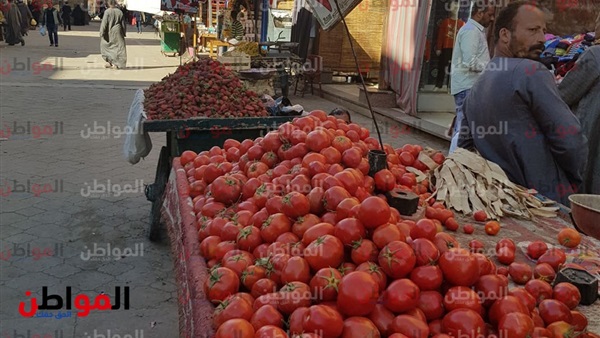 أسعار الخضار و الفاكهة