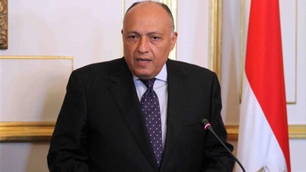 لقاء وزير الخارجية