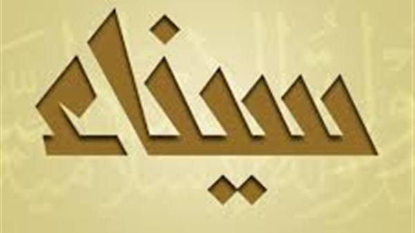 ولاية سيناء