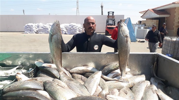مشروع الاستزراع السمكي