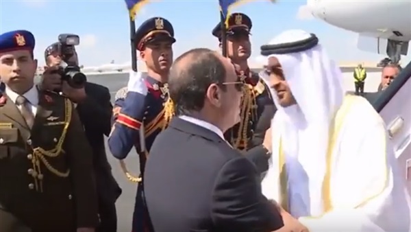 السيسي يستقبل ولي