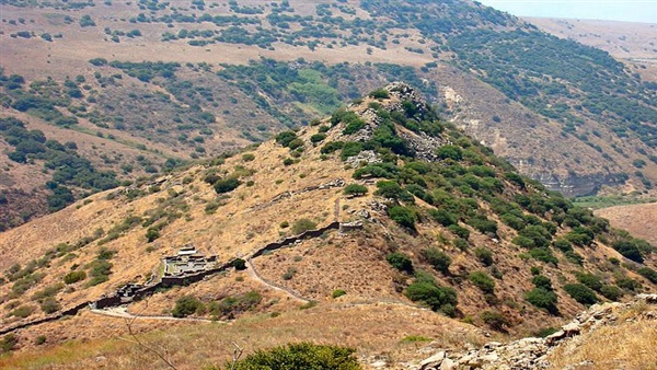 حزب النصر الصوفي