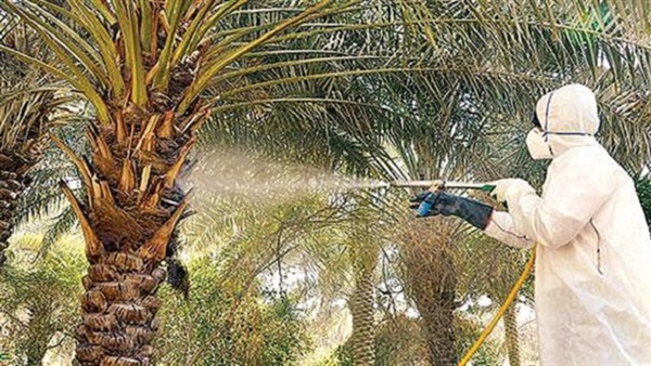 الحملة القومية لمكافحة