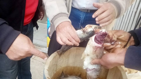 شم النسيم 2019