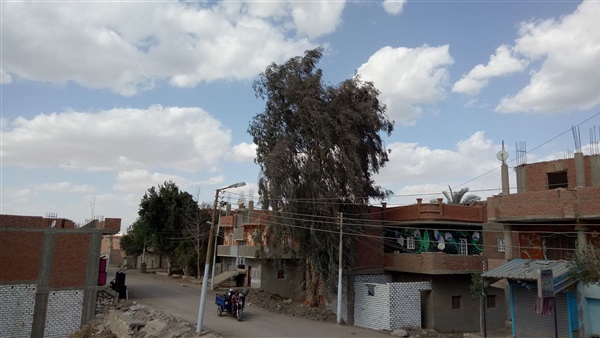 حالة الطقس اليوم