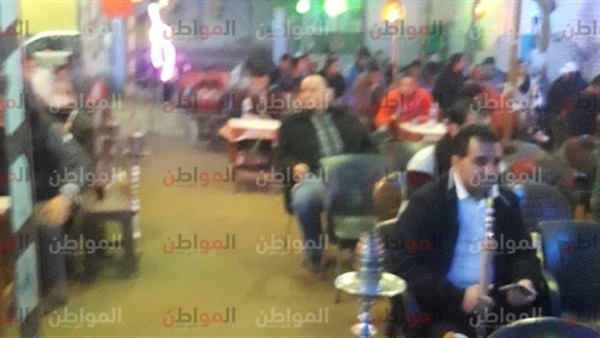 مقاهي المنوفية