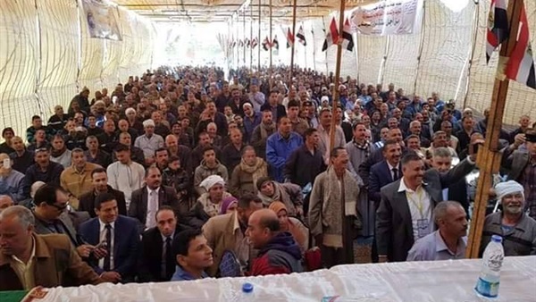 التعديلات الدستورية