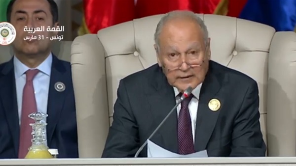 أبو الغيط في القمة