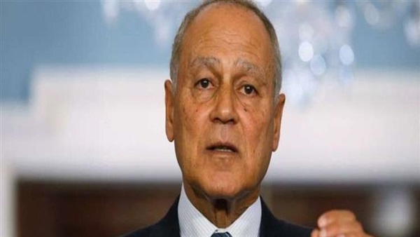 أبوالغيط في القمة