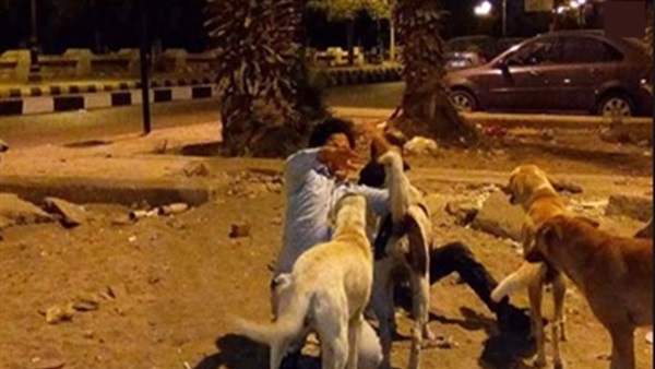مصرع شخص بكلاب الزوج