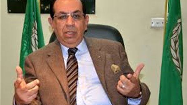معرض الكتاب بالإسكندرية