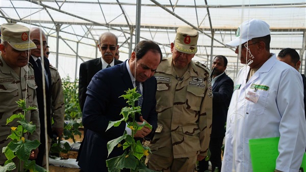 مشروع الصوب الزراعية