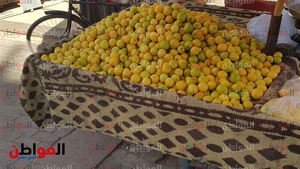 أسعار الخضروات في