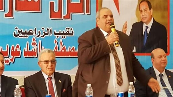 التعديلات الدستورية