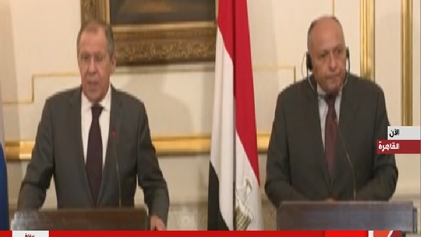 سامح شكري وسيرجي