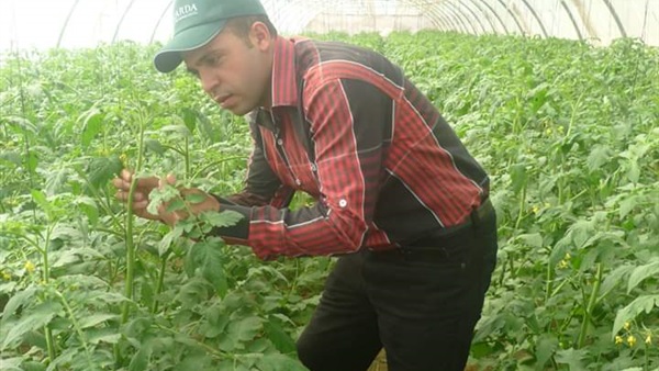 مشروع الصوب الزراعية