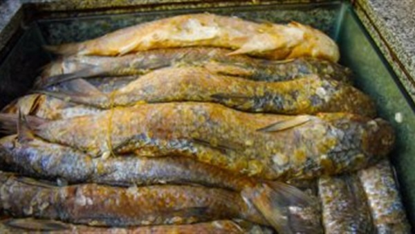 أسماك غير صالحة